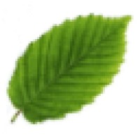 Silvatica Marketing Logo