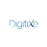 Digitixe Logo