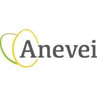 Anevei Logo