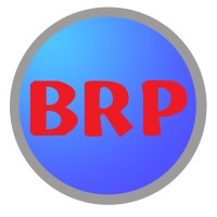 Hangzhou Bright Rubber Plastic Products Co.,Ltd Logo