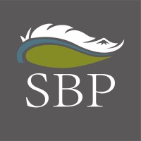 SCOTLAND: The Big Picture Logo