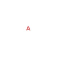 Auxilium Financial Risk Management Logo
