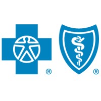 Blue Cross and Blue Shield of Minnesota Foundation Logo