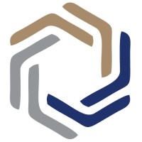 Paladynus Gestão e Consultoria Empresarial Logo