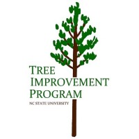 NC State Tree Improvement Cooperative Logo