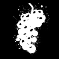 Noble Riot, Ltd Logo