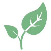 Newsight Life, LLC Logo