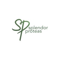 Splendor Proteas Logo