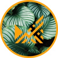 Miteri Logo
