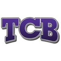 Team Connecticut Baseball Logo