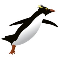Rockhopper Technologies Logo
