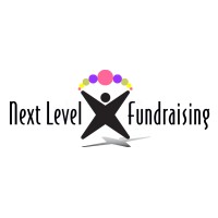 Next Level Fundraising Logo