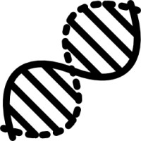 Alpha Emerged Logo