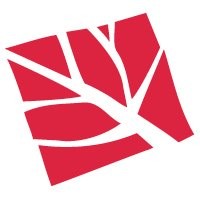 Woolcock Institute of Medical Research Logo