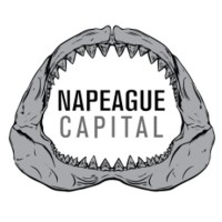 Napeague Capital, LLC Logo