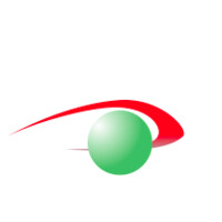 The Eye Health Institute Logo