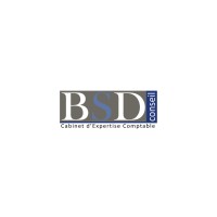 BSD-Conseil Logo