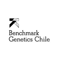 Benchmark Genetics Chile Logo