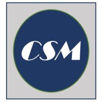 Catalyst Strategic Marketing Logo