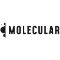 Molecular Worldwide Logo