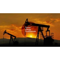 Senior Energy Professionals México Logo