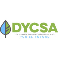 DYCSA Logo