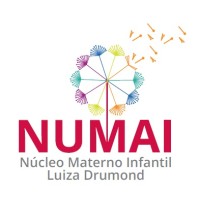 Numai - Núcleo Materno Infantil Luiza Drumond Logo