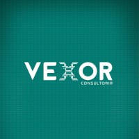 Vexor Consultoria Logo