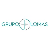 Lomas Travel Logo