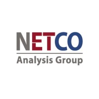 NETCO Analysis Group Logo