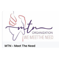 MTN Organization, Inc Logo