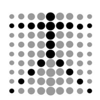 The C.A.S. School Logo