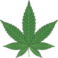 Wholesale White Label CBD and Hemp Logo