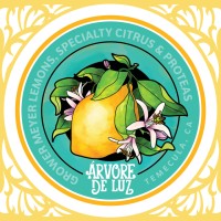 Arvore De Luz Logo
