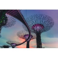 International Innovation Centers Logo