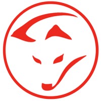 mediafox Logo