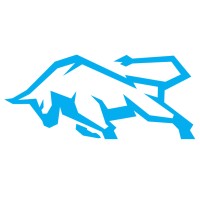 BullBox Marketing Logo