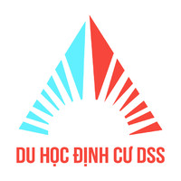 DSS Education - Immigration Logo