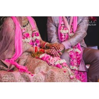 The Wedding Currator Logo