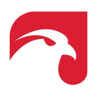 Falcon Networks | Chile Logo