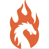 Code Dragon Logo