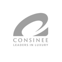 Consinee Group CO. Ltd Logo