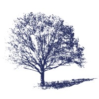 Juneberry Homes LLC Logo