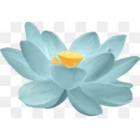 Akhilam Aesthetics Logo