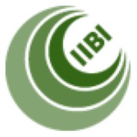 Institute of Islamic Banking and Insurance Logo