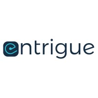 Entrigue Consulting Logo