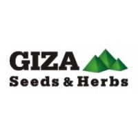 Giza Seeds & Herbs Logo