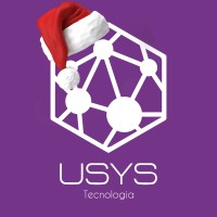 USYS Logo