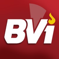 BuenaVista Information Systems Logo