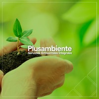 Plusambiente Logo
